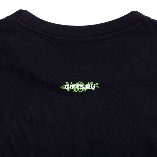 Футболка мужская Regent Fit 150, черная