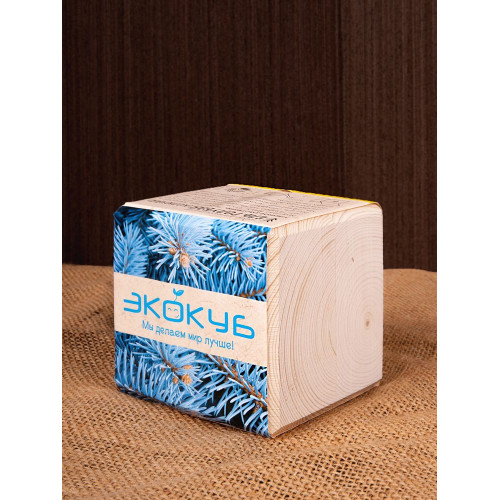 Набор для выращивания «Экокуб», ель голубая