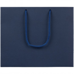 Пакет бумажный Ample Plus S, синий