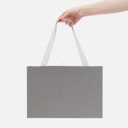 Коробка Regalis, серая