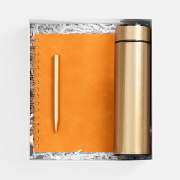 Набор Spiral Gold, оранжевый