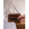 Bluetooth-колонка с радио Beatnik, коричневая
