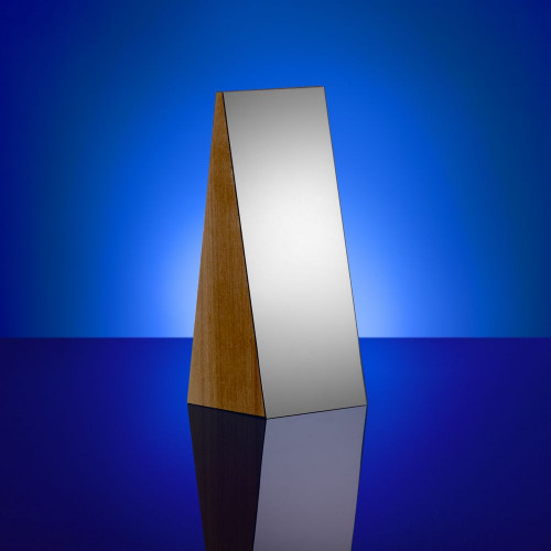 Стела Challenger