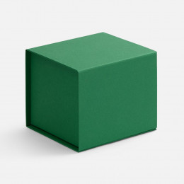 Коробка Alian, зеленая